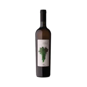 4 Miglio Macchia Bianca 2017