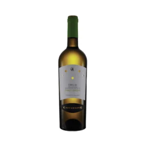 Pinot Griggio IGT 2024