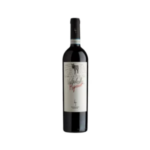 Valpolicella Ripasso Superiore DOC 2018